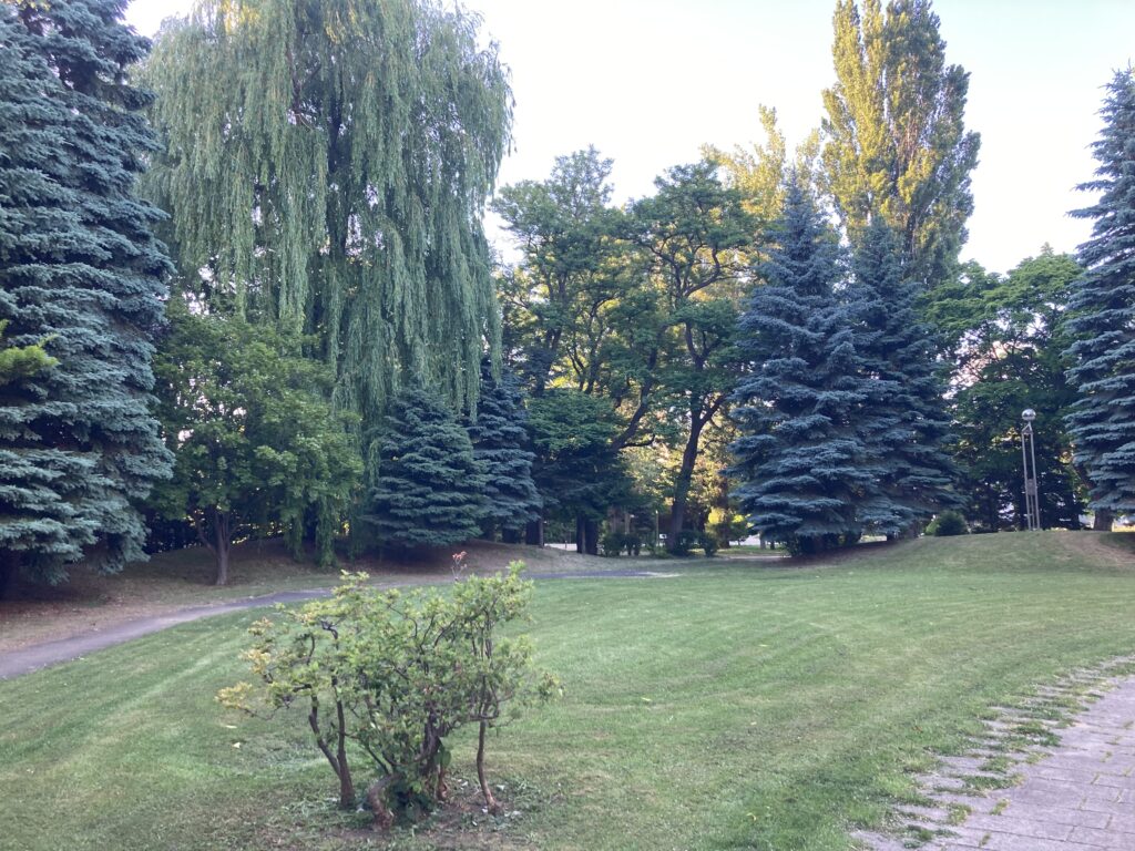 中島公園 Kitara付近