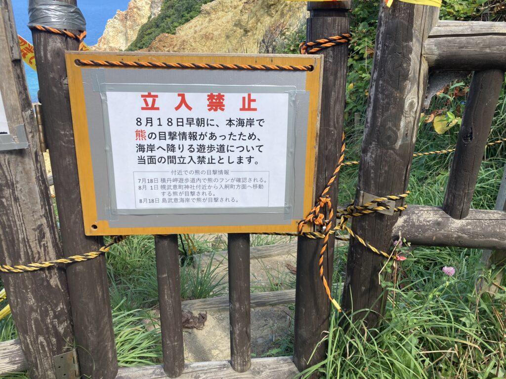 島武意海岸　熊出没