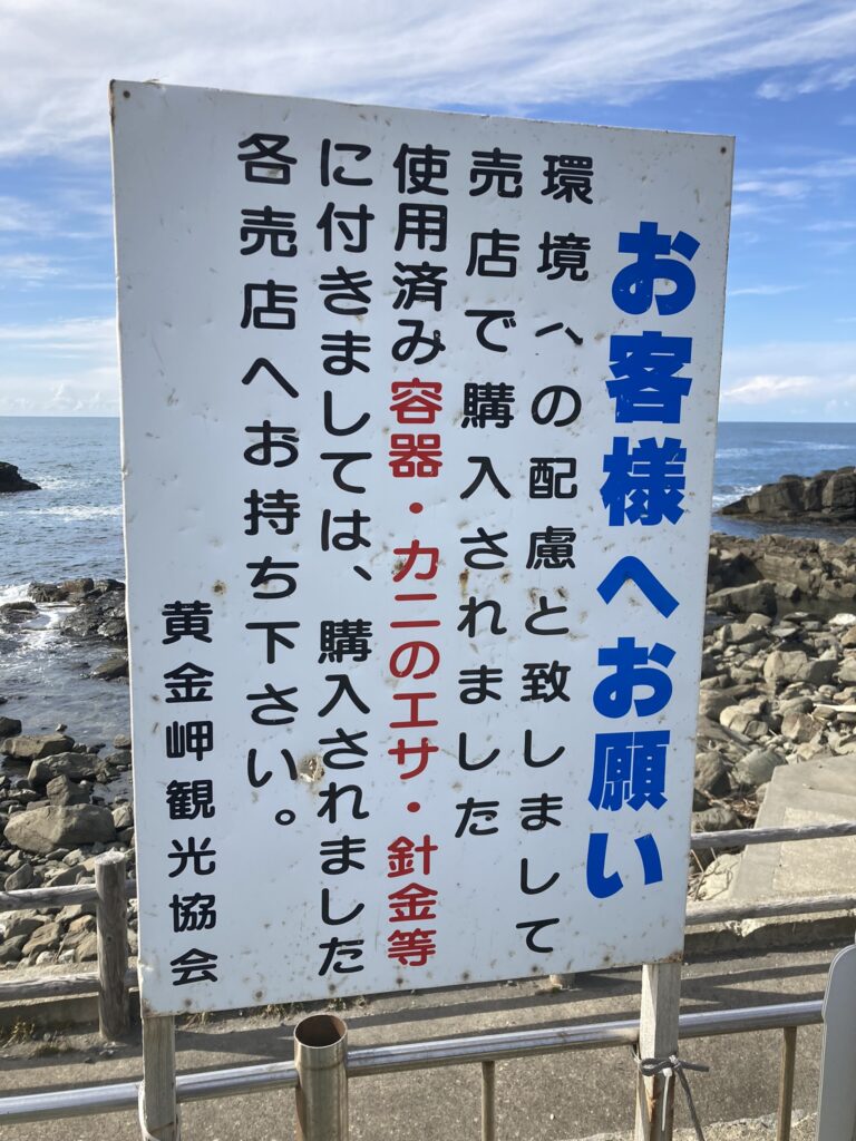 黄金岬 カニ釣り