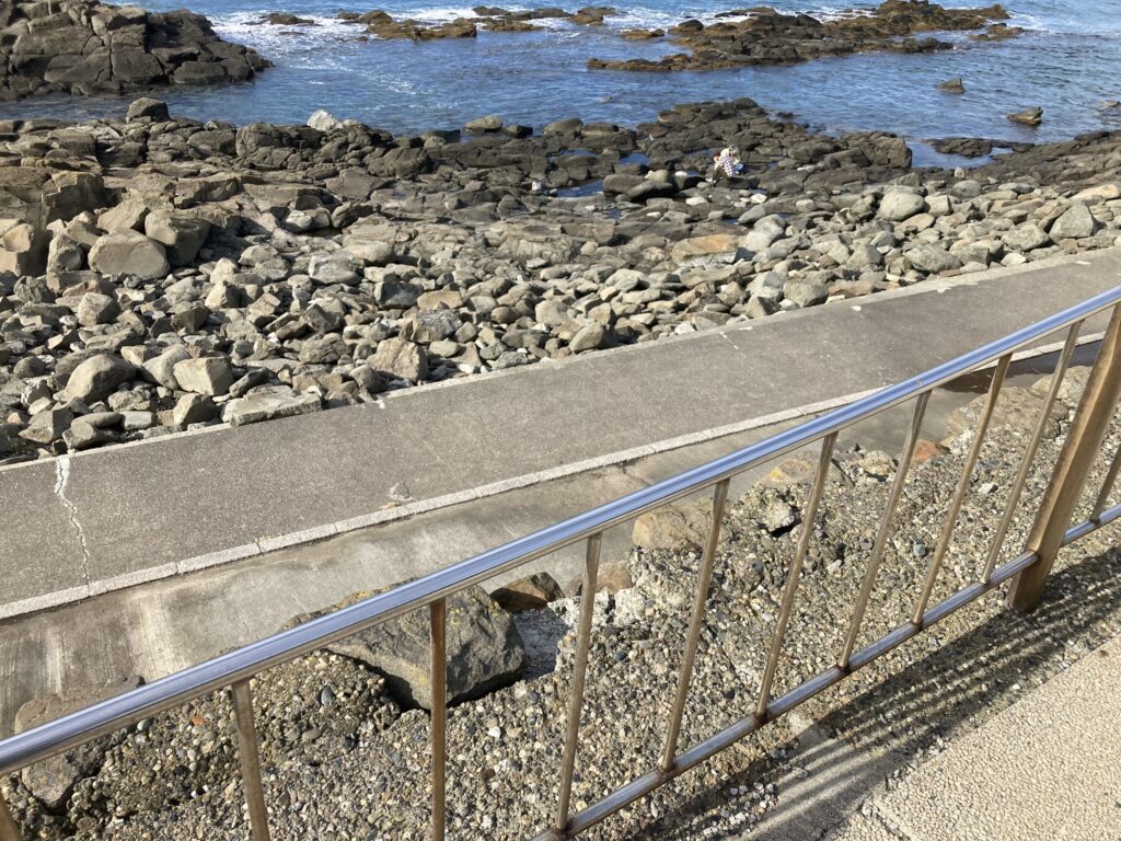 黄金岬 カニ釣り