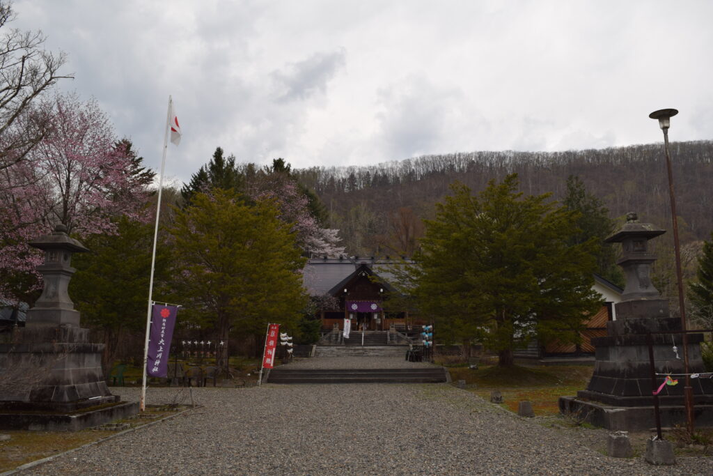 大上川神社 自然