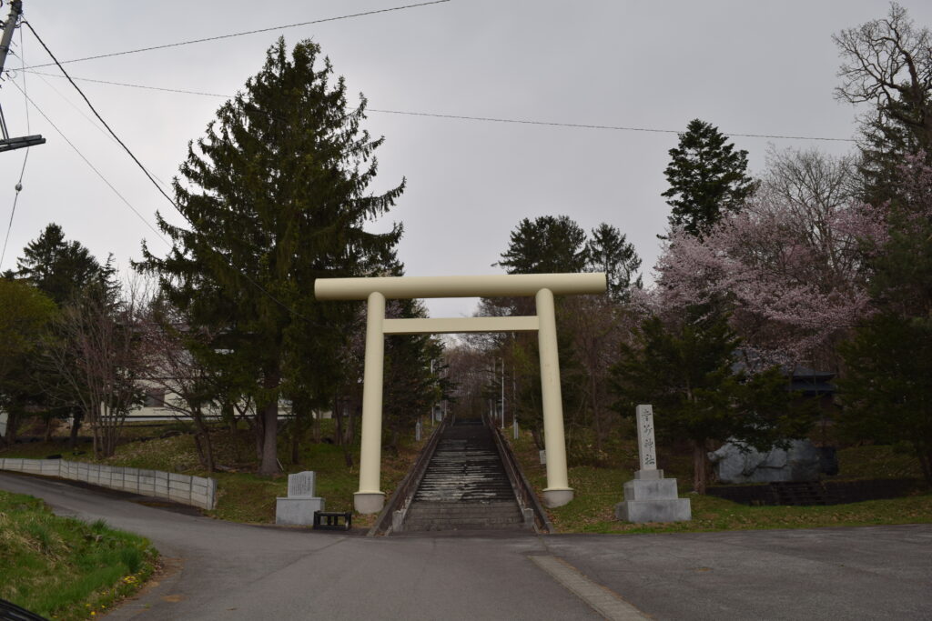 愛別神社　鳥居と桜
