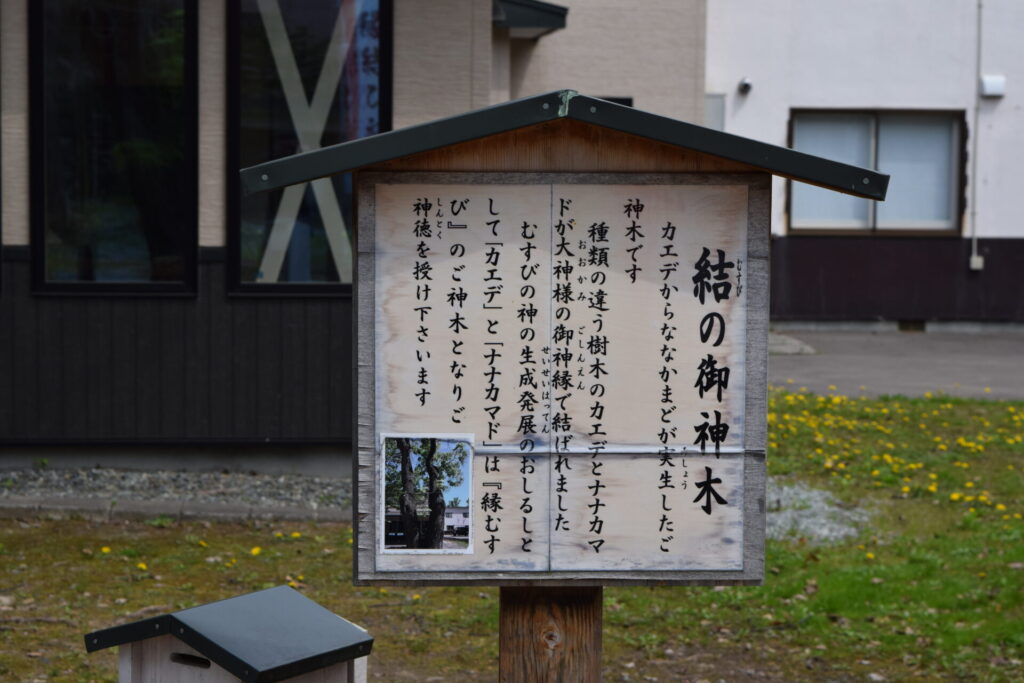 空知神社 結の御神木