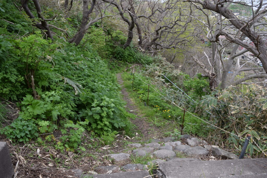 小樽 恵美須神社 鳥居からの登り道