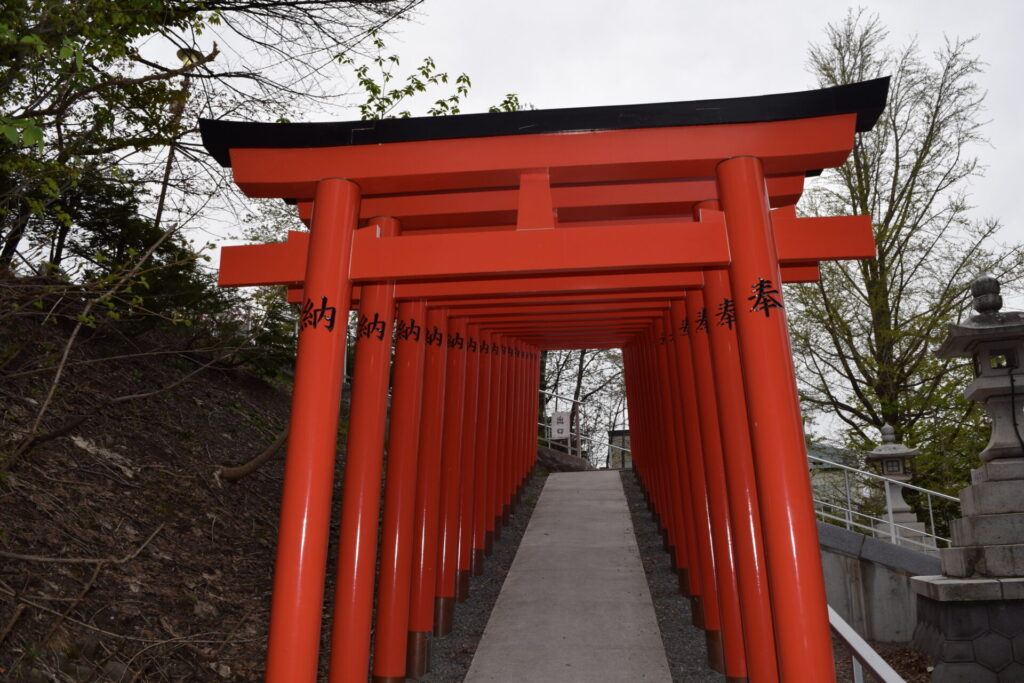 住吉神社 境内内のたくさんの鳥居