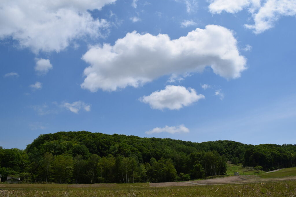 石山神社　神社裏手の採石場への道