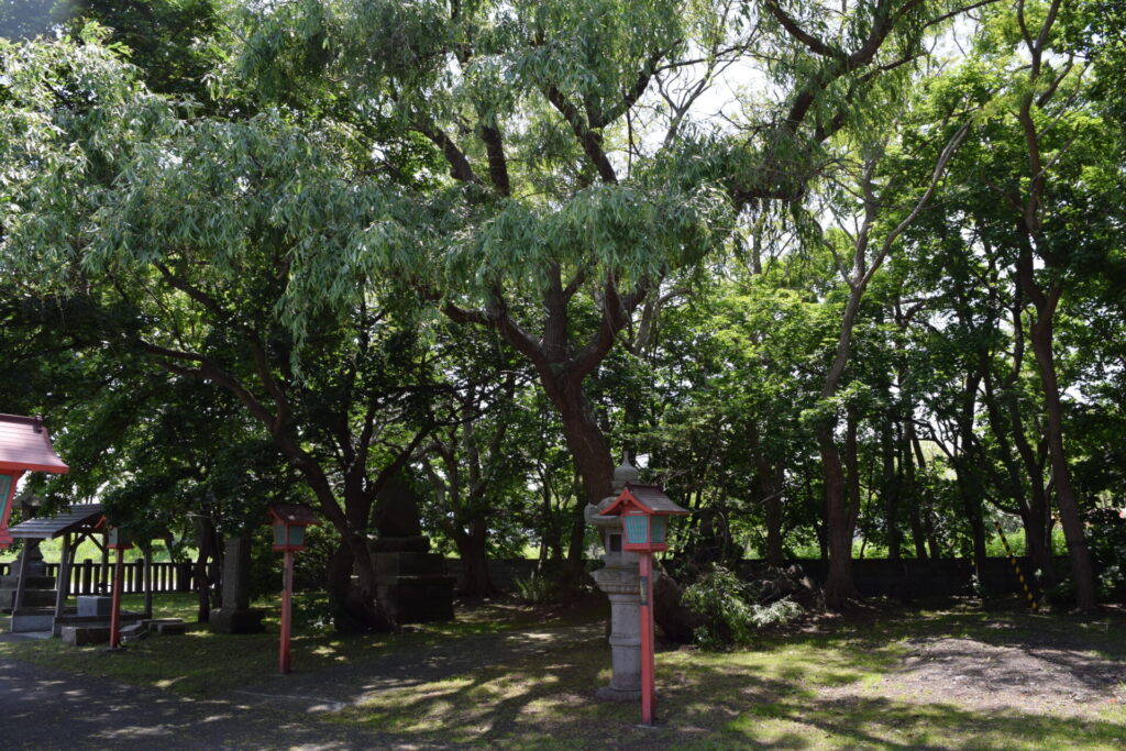 石狩八幡神社　境内