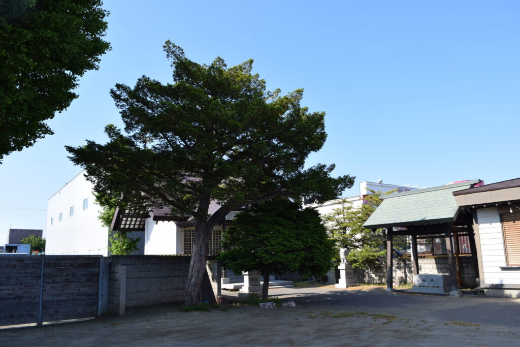 上白石神社 境内