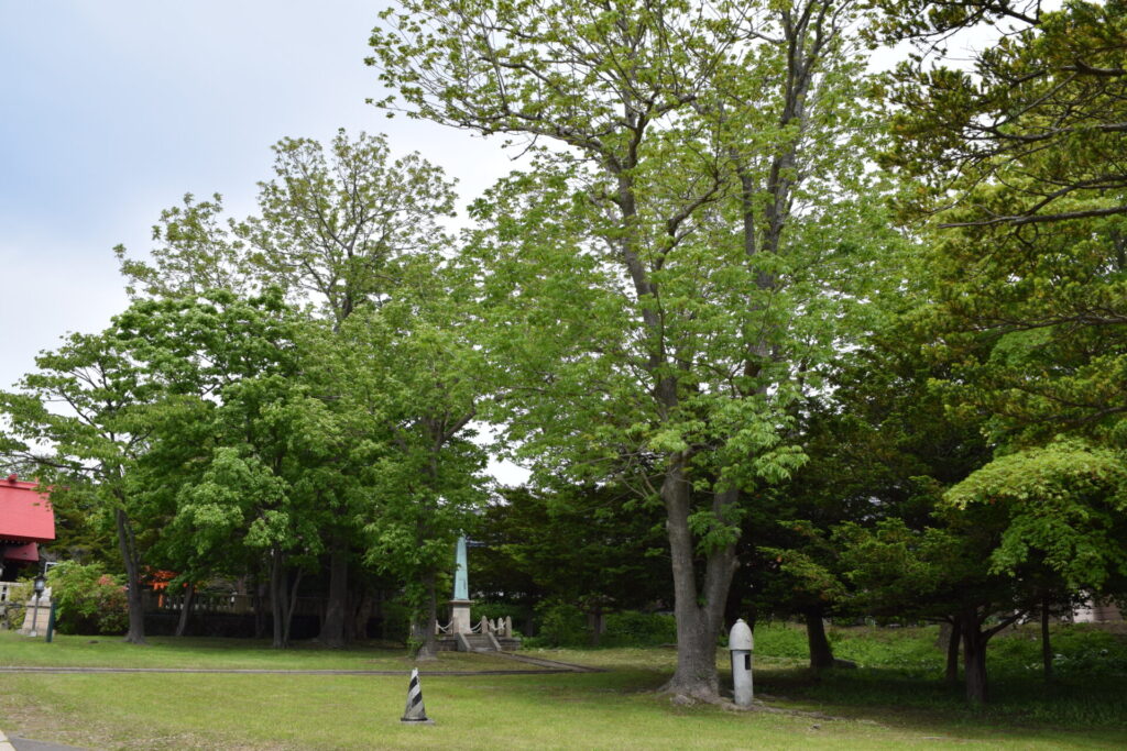 御傘山神社 境内