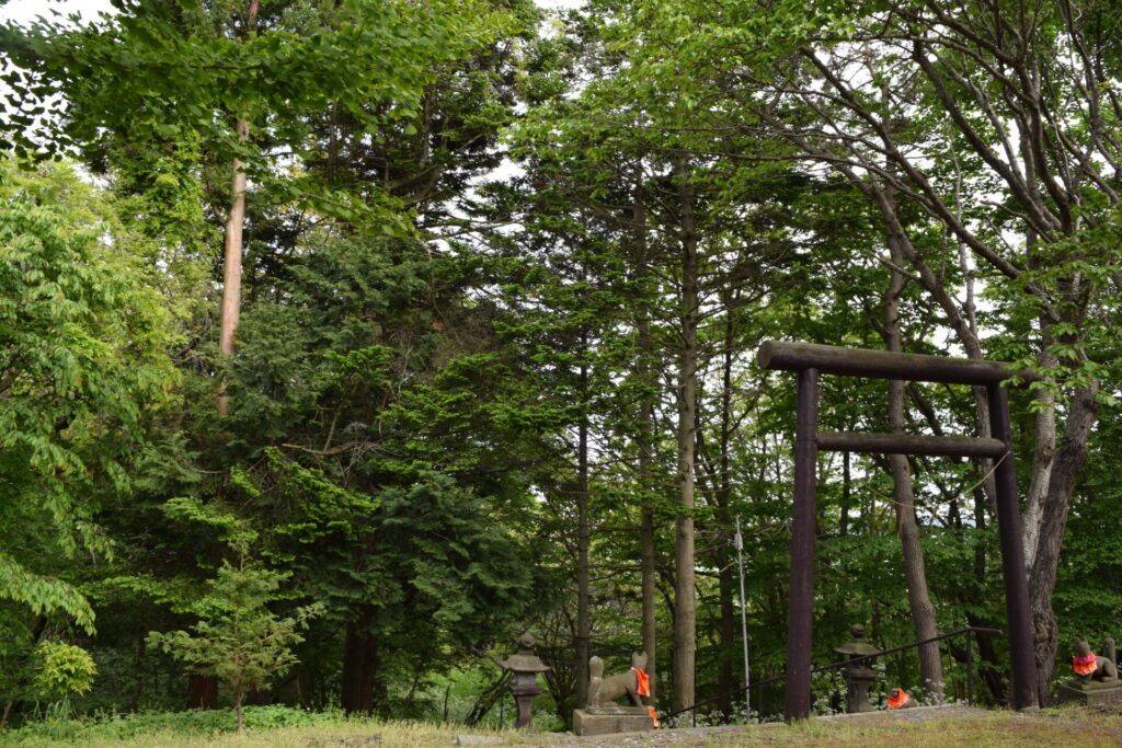 崎守神社 境内から砲台跡への景色