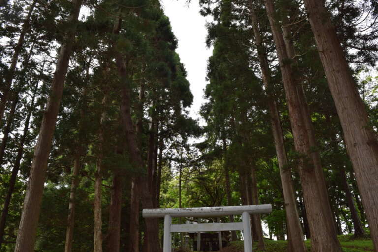 幡守神社　参道
