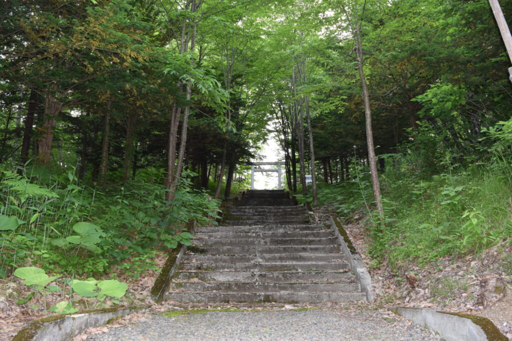 神居神社　鳥居に向かう参道