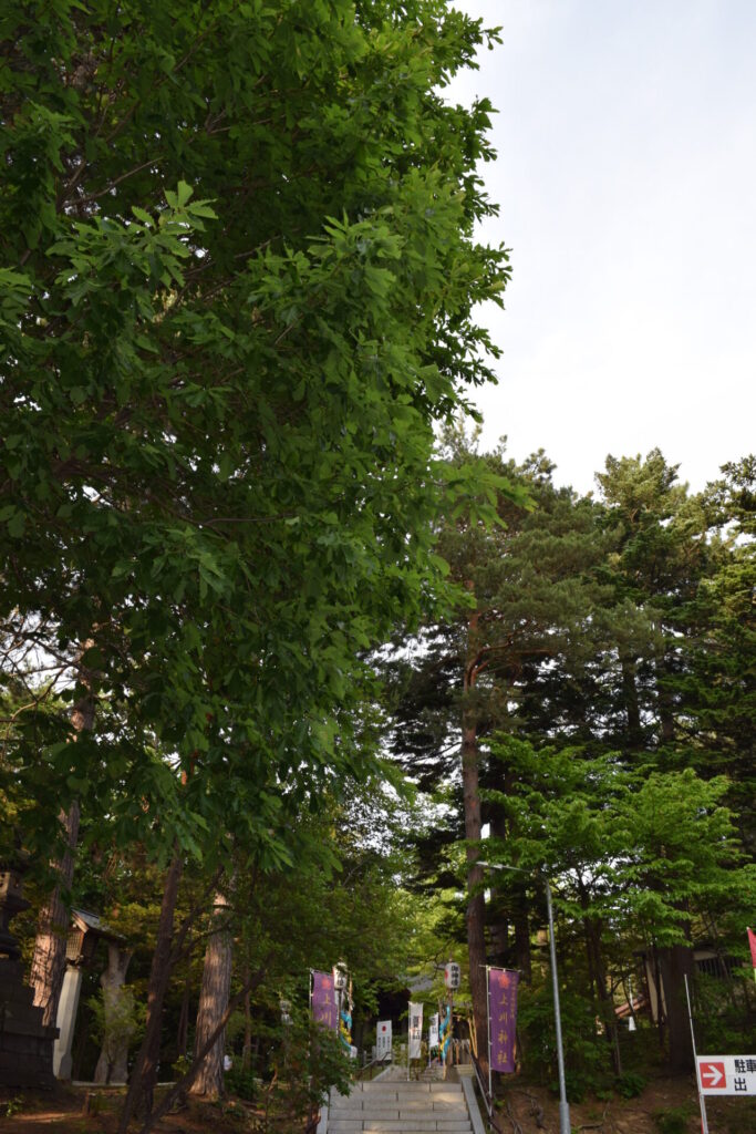 上川神社　駐車場から境内への道