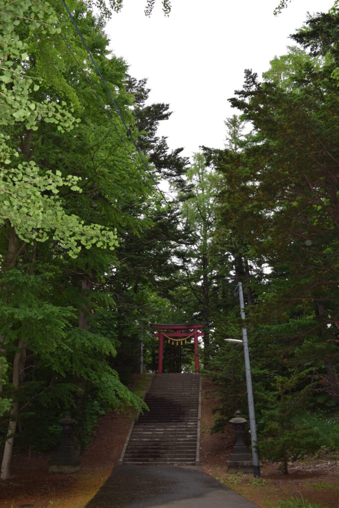 倶知安神社　境内