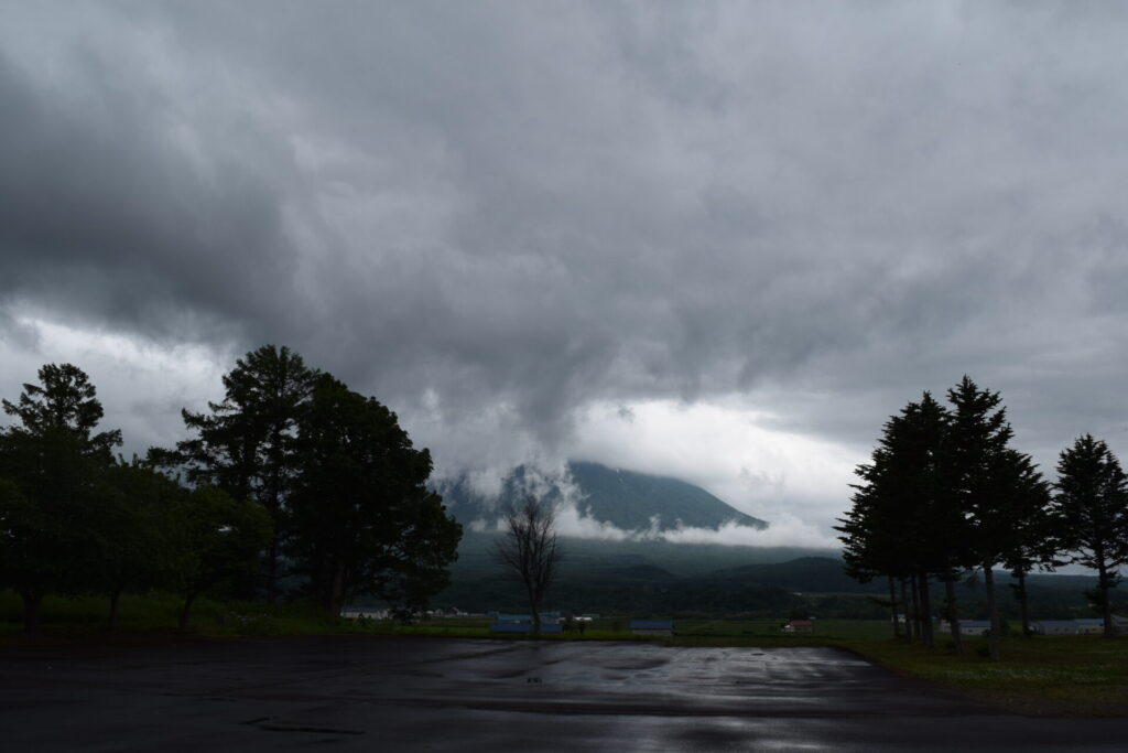 倶知安神社　入口からの羊蹄山