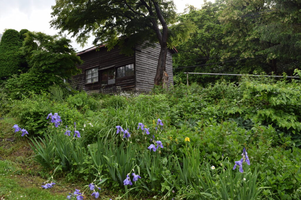 小樽天満宮　境内