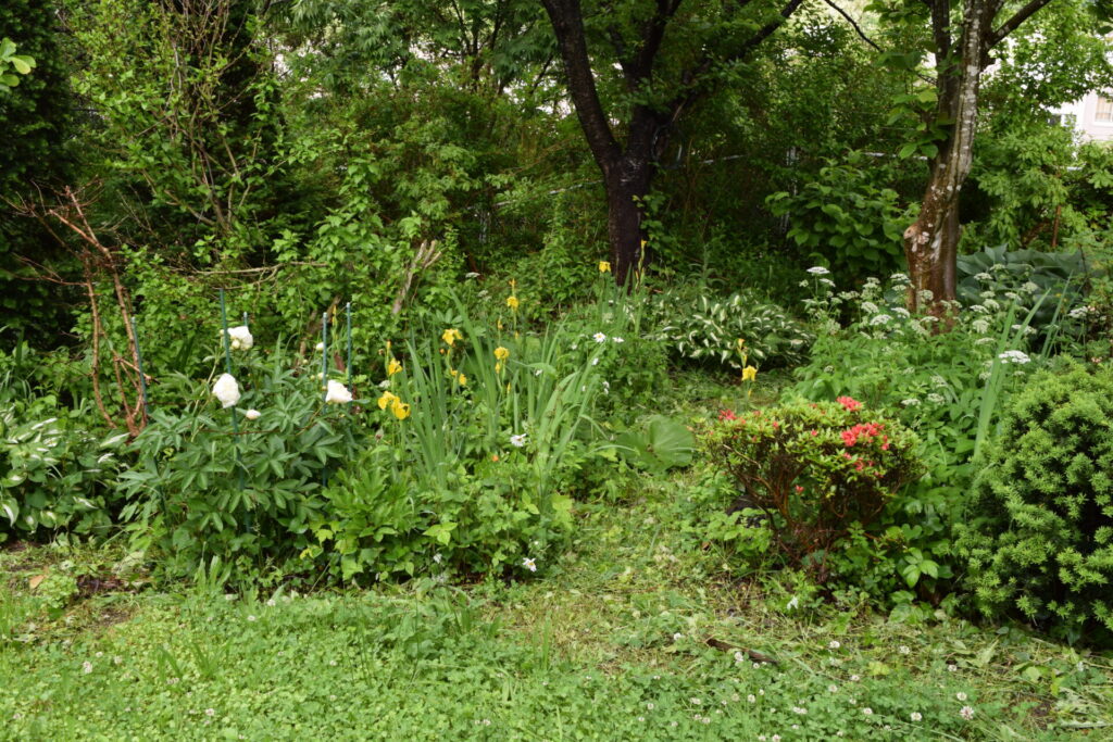 小樽天満宮　境内