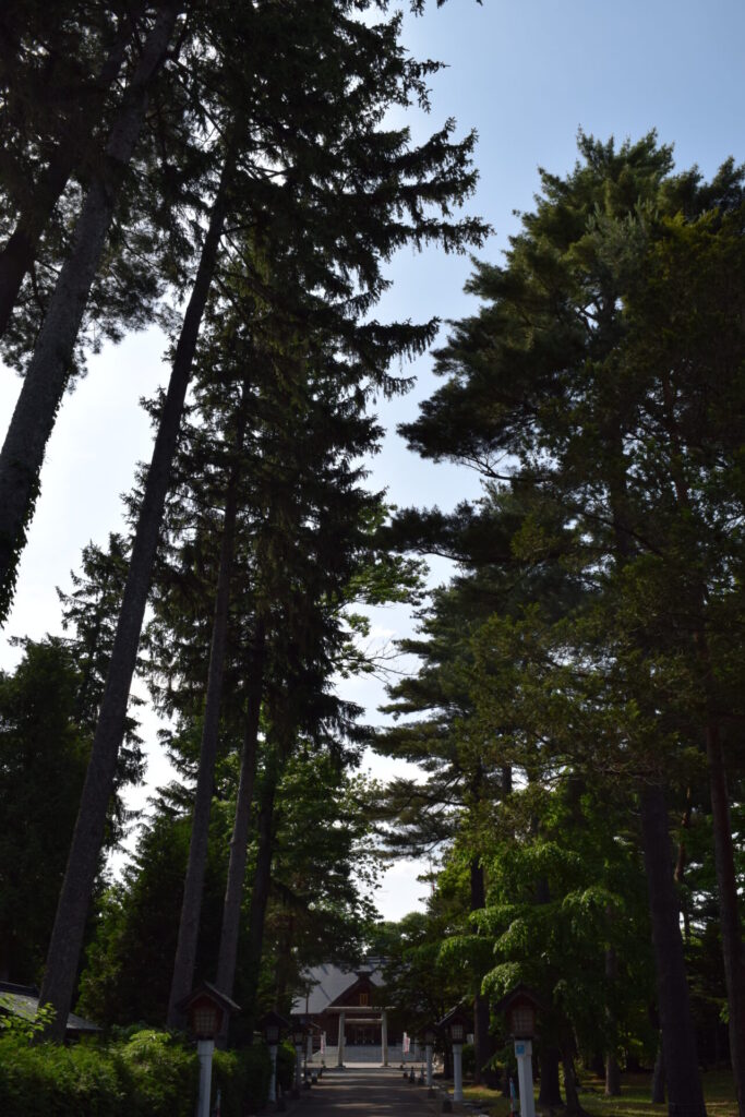 富良野神社 境内