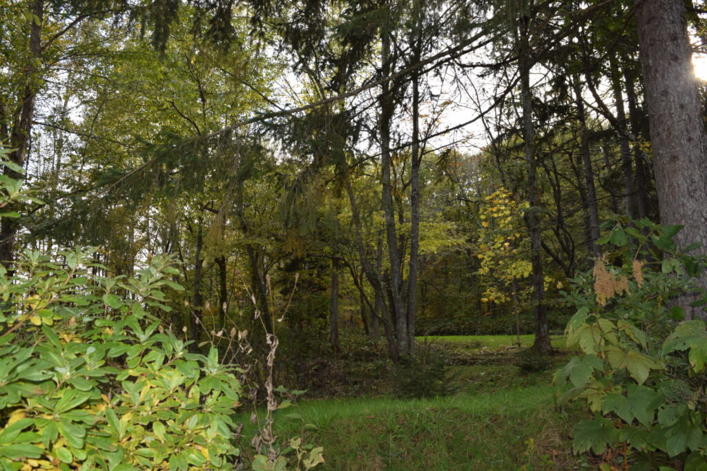 雨紛神社 遊歩道