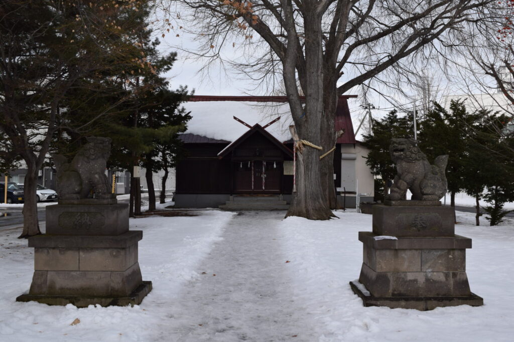 中の島神社 社殿と御神木