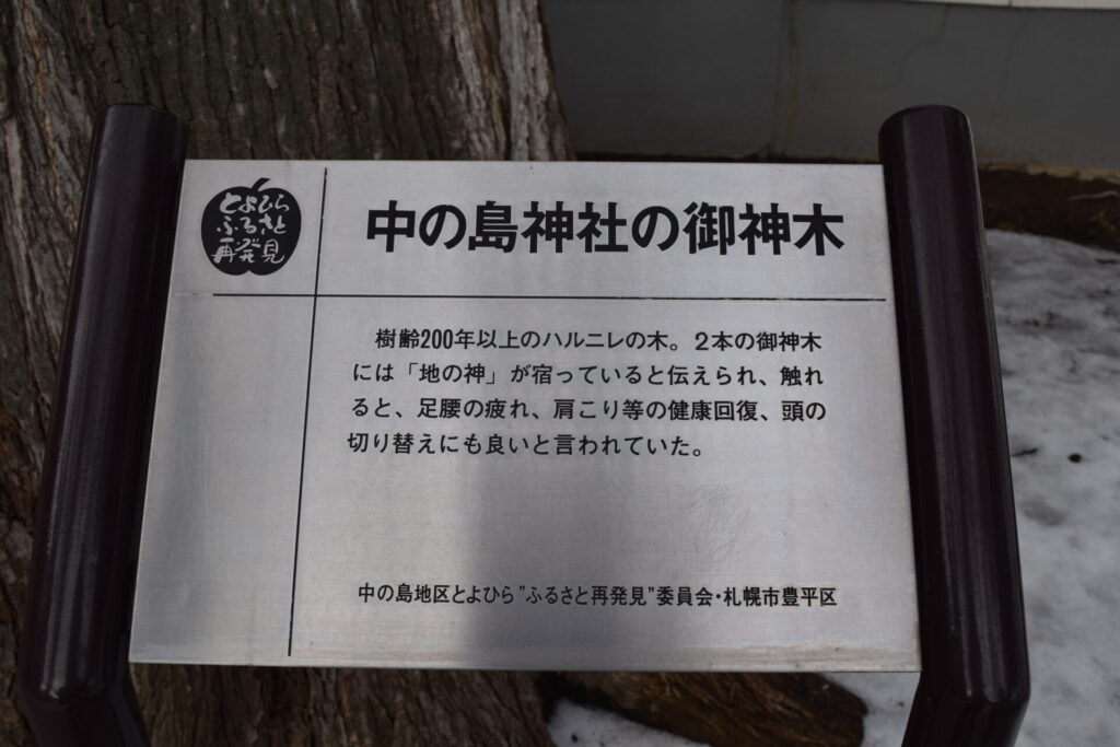 中の島神社 御神木の解説