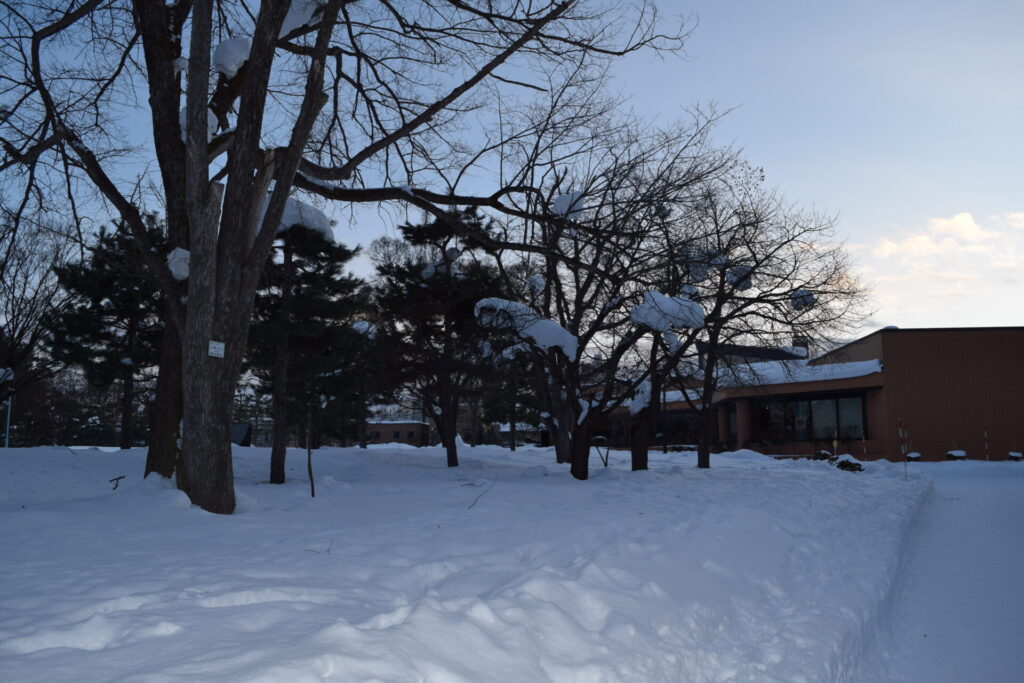 旭川冬まつり 常盤公園