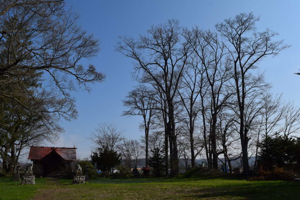 白人神社　境内の樹木