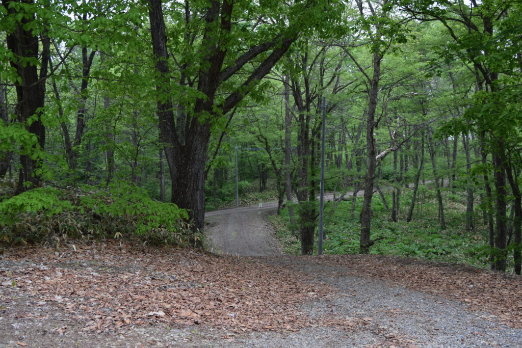 大國神社 神社への道