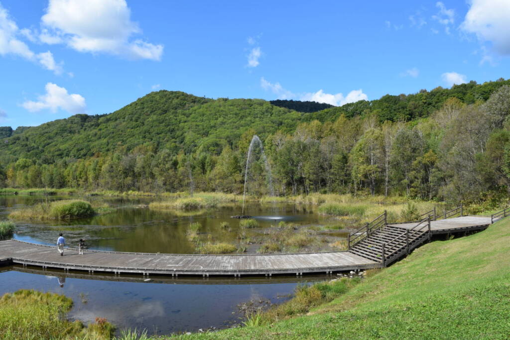 七色の噴水　遊歩道