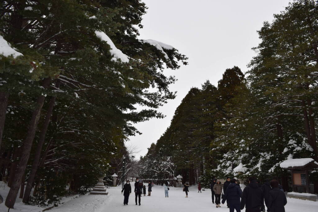 北海道神宮　参道